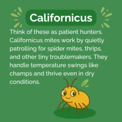 Beneficial Insect Subscription