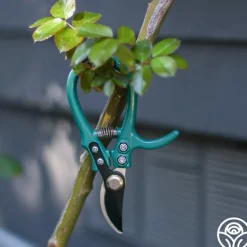Flora Bypass Pruners