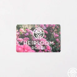 Heirloom Roses Gift Card (Tangible)