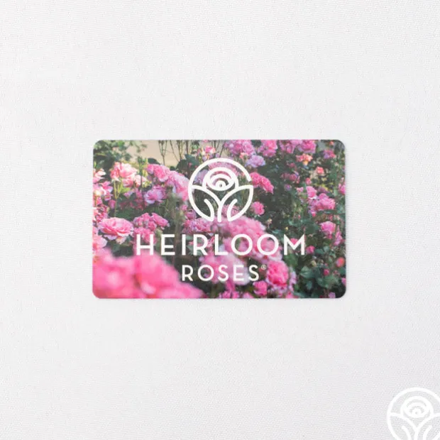 Heirloom Roses Gift Card (Tangible)