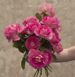 Painted Porcelain™