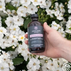 Pure Protect by Heirloom Roses