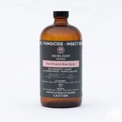 Pure Protect by Heirloom Roses