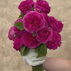 Souvenir du Président Lincoln