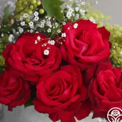 Sunbelt® Desmond Tutu