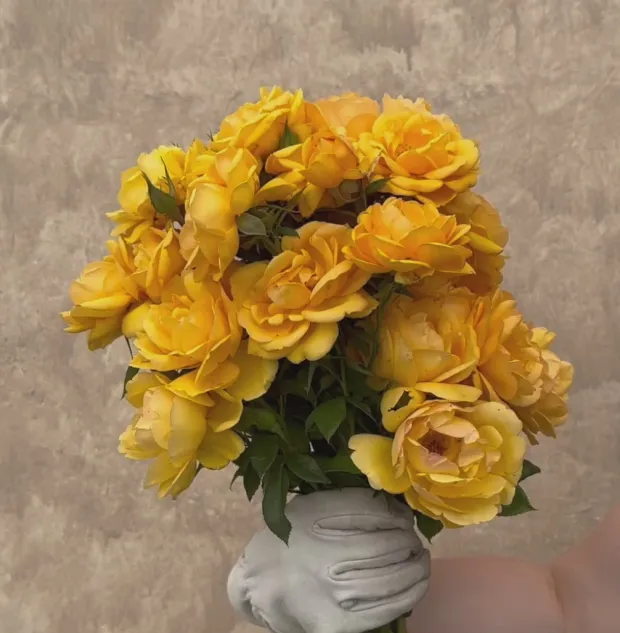 Sunbelt® South Africa®