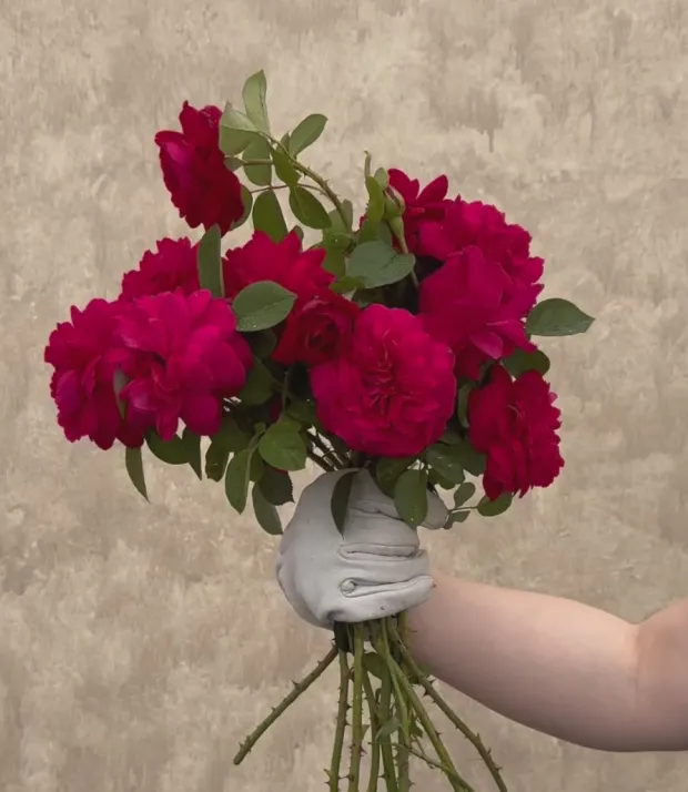 Tess of the d'Urbervilles®