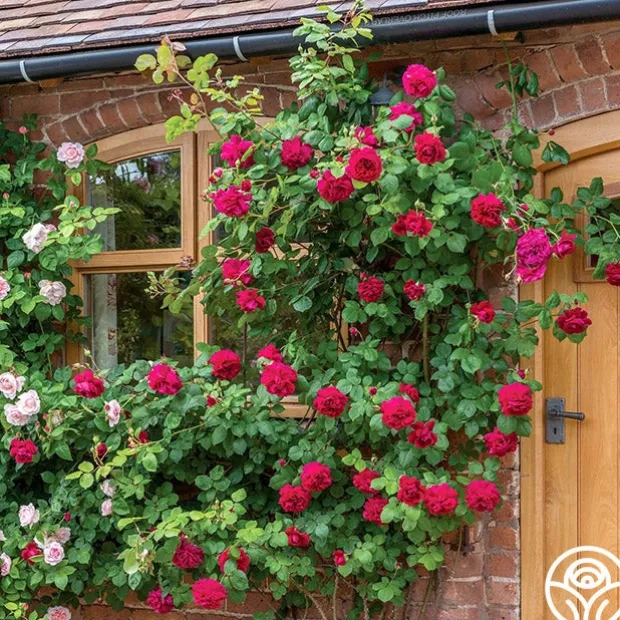 Tess of the d'Urbervilles®